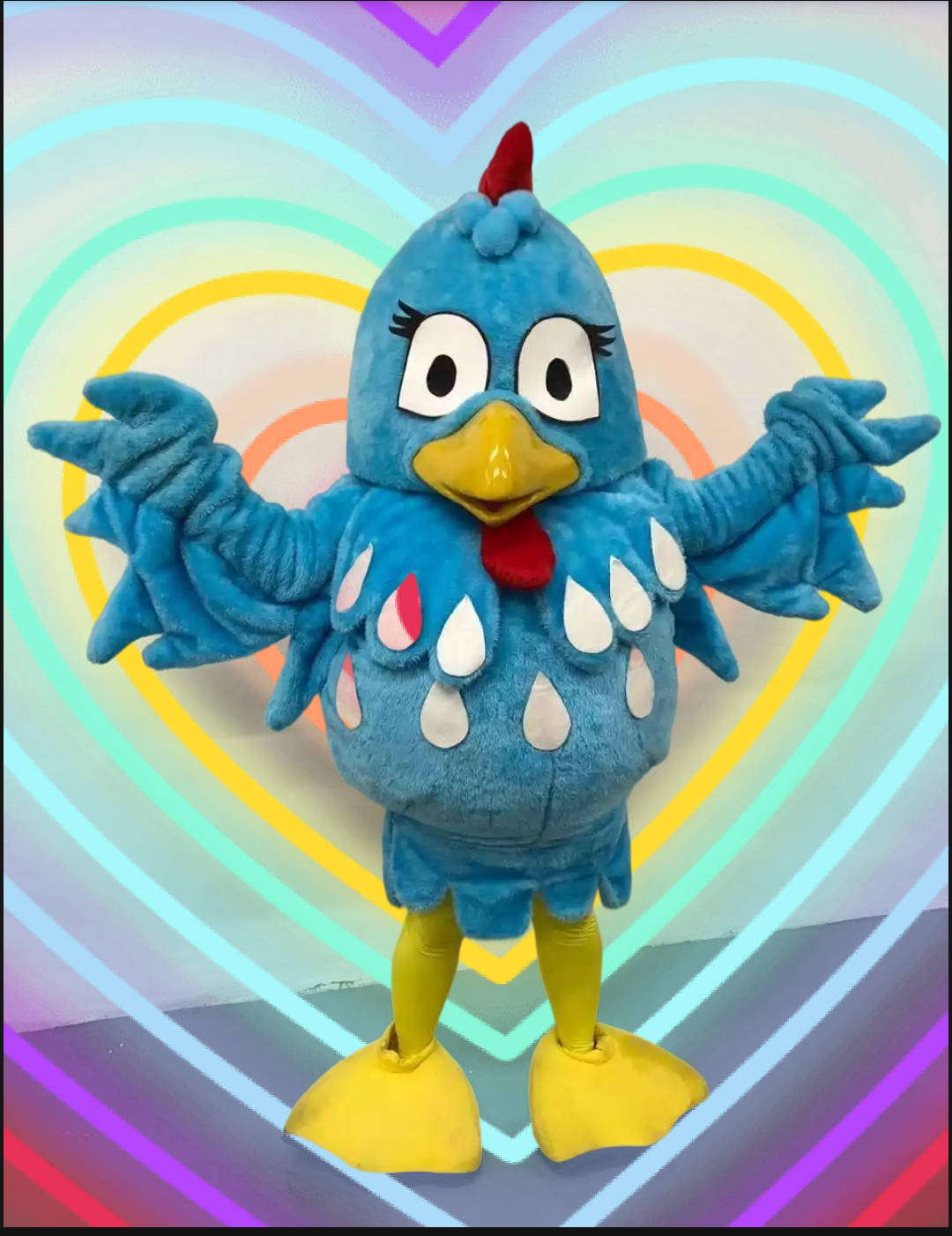 Animação de festas