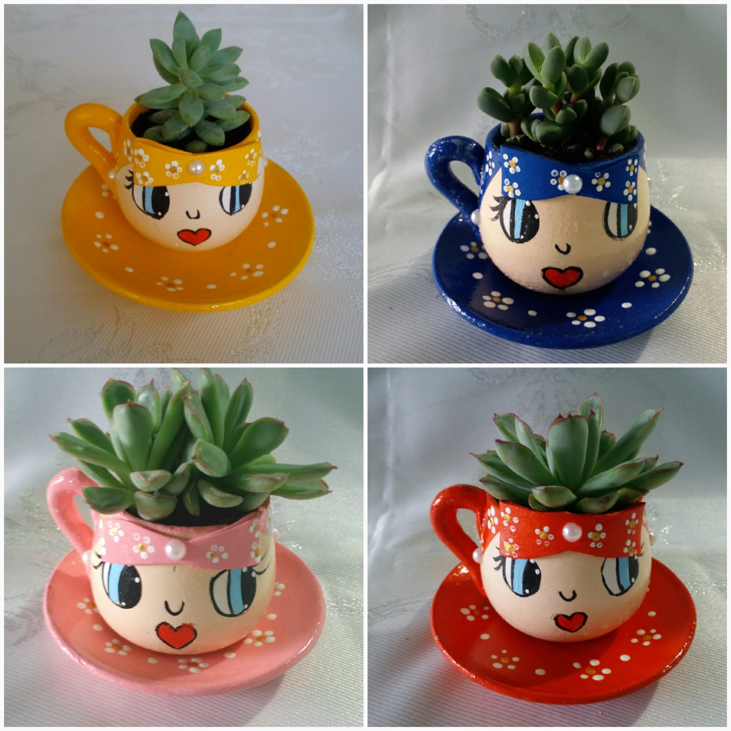 Cachepos com suculentas