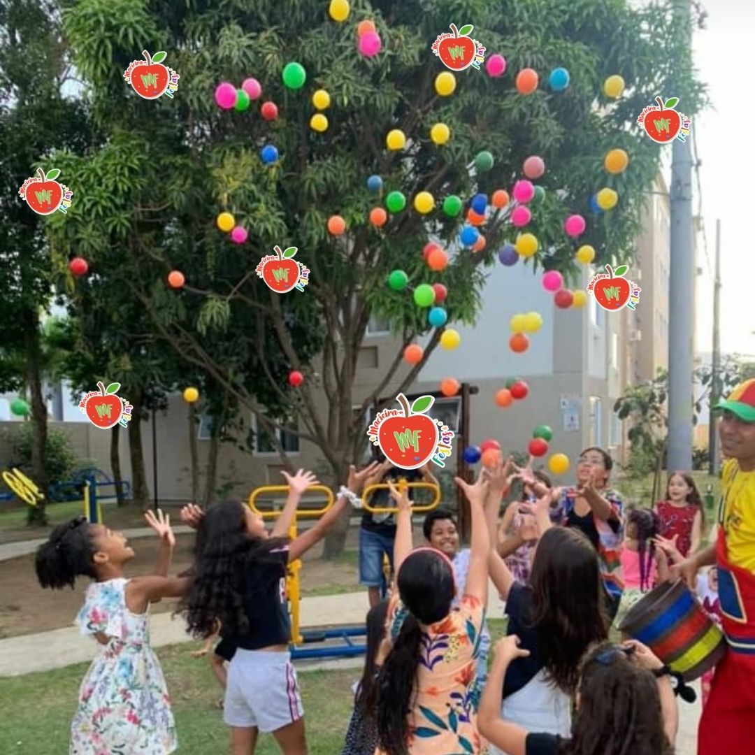 Animação para Festas, Levamos o Som