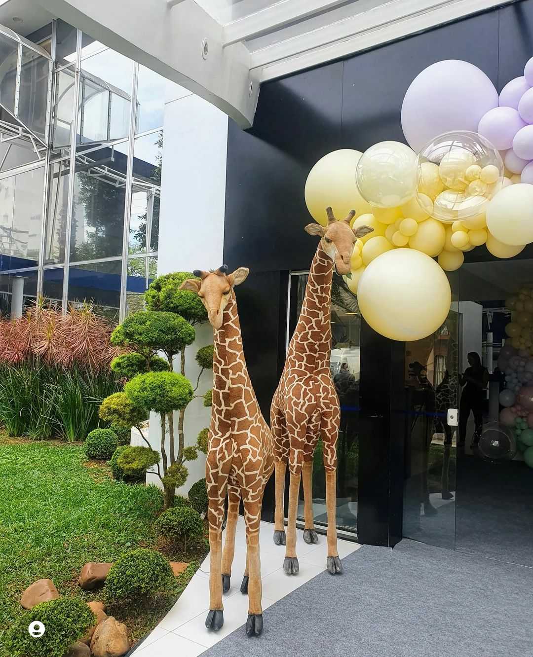 Fazemos a melhor decoração para você e para o seu evento, aproveite!