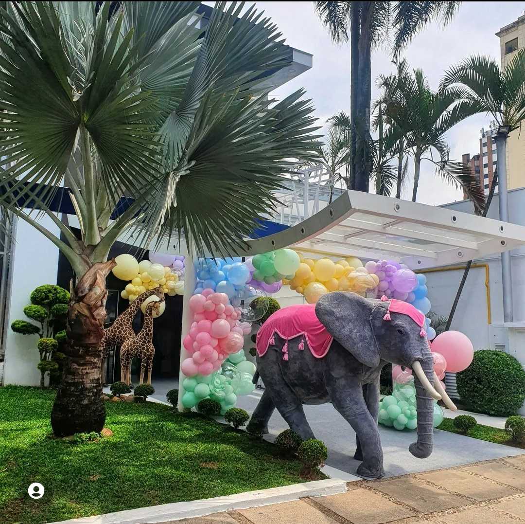 Fazemos a melhor decoração para você e para o seu evento, aproveite!