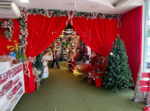 Bem festeira artigos de festas e embalagens