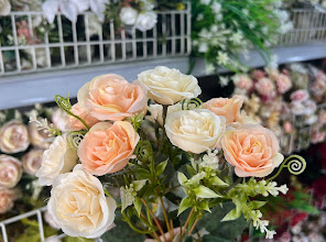 Loja linna Assis Brasil