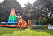 Tiale Diversões aluguel de brinquedos