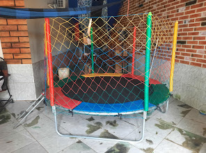 download-2023-04-28T131455.487