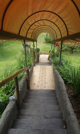 Fazenda Rancho Forte