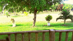 Cerimonial Green Park