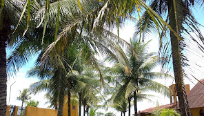 Chácara Vista Linda