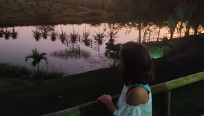 Sítio Recanto Das Acácias