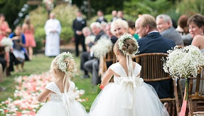 Wms cerimonial eventos