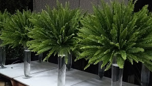 Cerimonial La Romania