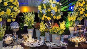 Serena Aguiar Eventos