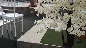 Junior Francisco Cerimonial