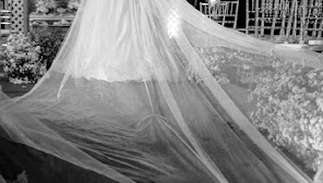 Ary assessoria e Cerimonial