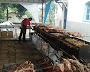 Fagner Rocha Churrasco e Eventos