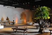 Splendore Eventos