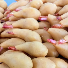 Salgado Mineiro João Pessoa