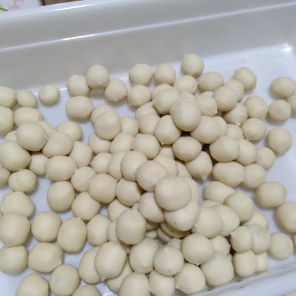 Trajano Salgados Belém