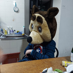 Disfarce Fantasias Florianópolis