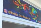 Twin Fantasias