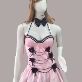 La Maison Aluguel de Fantasias