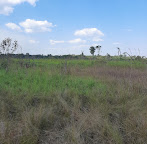 Só Fotos e Paisagem lb Silva