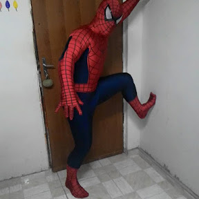 decorações para festa lilika