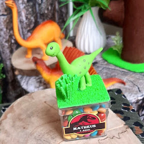 Festas e Decorações João