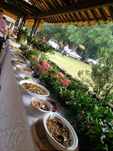 Cozinheira festas e eventos