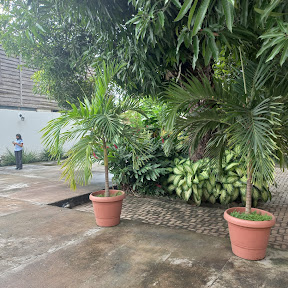 Casarão – Espaço e Eventos