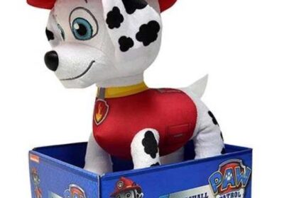 0f27f5f2-4b18-4f6e-8ba0-c7455183b816