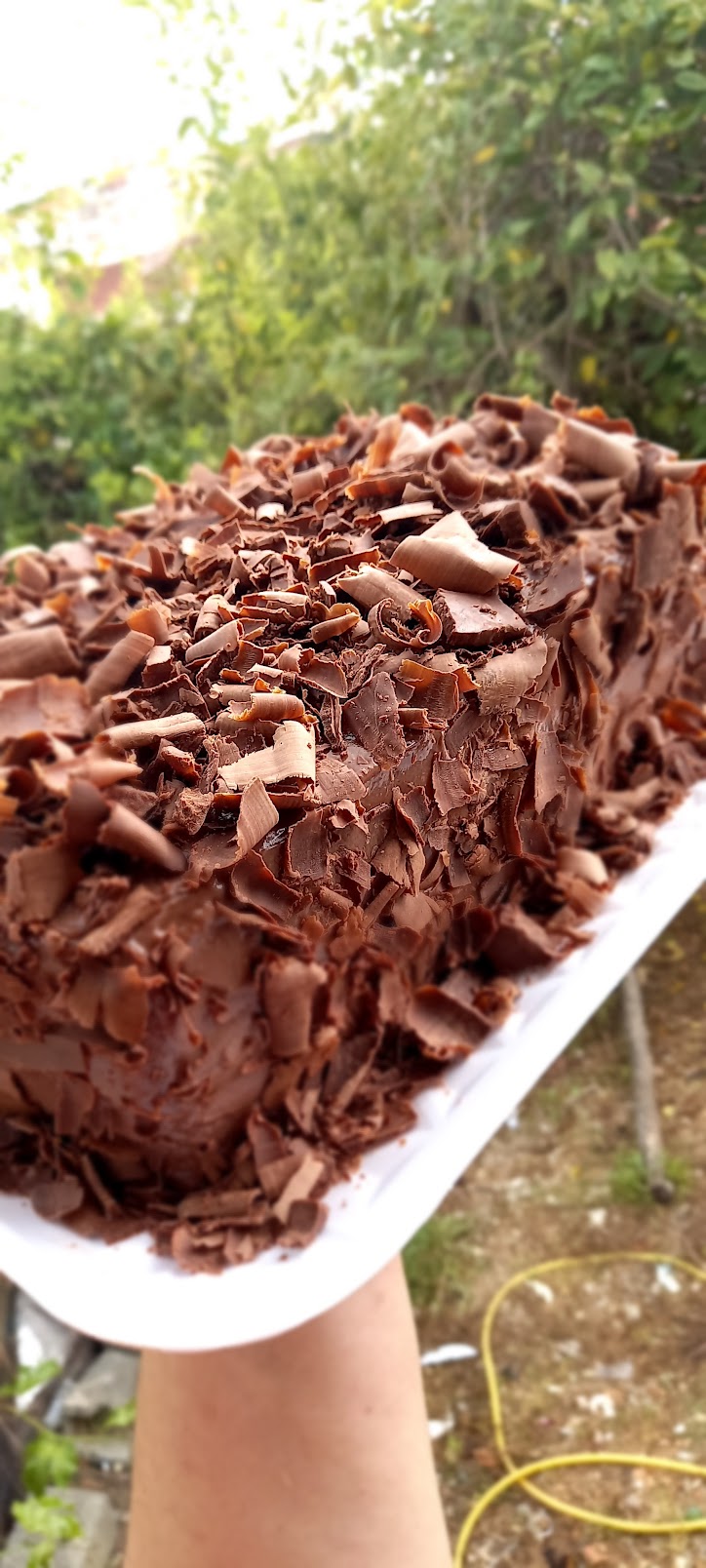 Vanessa Bolos Cambui