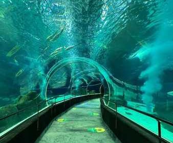 40c904c6-2ac9-4404-8f79-52d3d36605f7