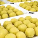 431055d9-0a9c-43ab-9d5e-1deb67efd464