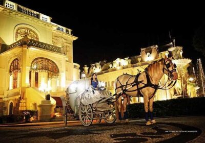 6c917c52-01b2-4e86-9b51-7c044e7fd83f