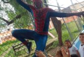 Homem Aranha – Personagem vivo para festas e eventos