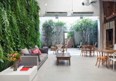 c726e1d8-481c-4f6c-a8b9-ca84b0839295