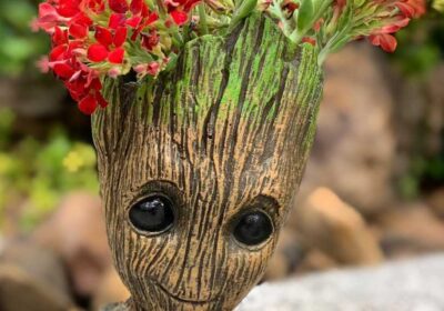 dc6a6703-2c63-474e-8240-9b3b04a7c16e