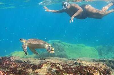 dd7c41fe-ebe7-4fa0-ade1-ec2f879bcc18