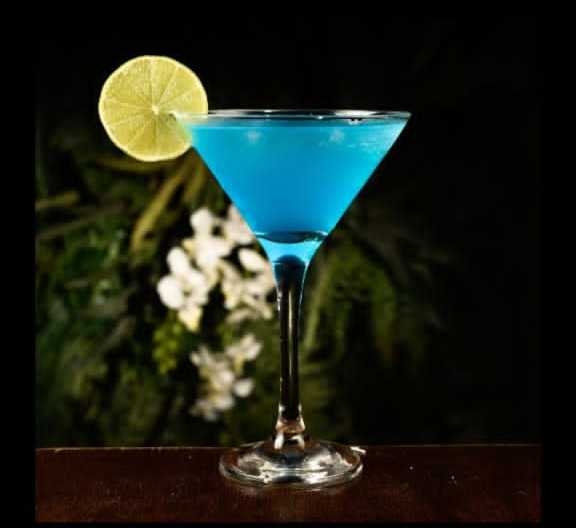 K9 Show Bar Bartendrs