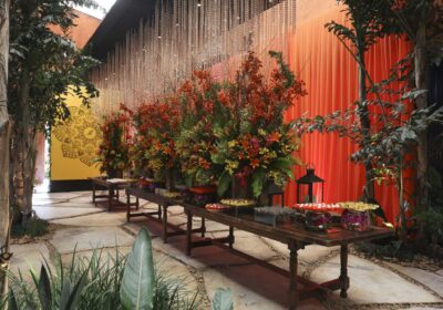 2386d704-105d-43ab-993c-f88c20f938b1