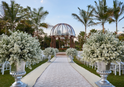 2ffcce37-406a-4f21-993a-da70e3d3522e