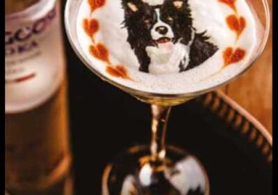 4356e576-d419-460b-b58a-0e8e81bb07d5