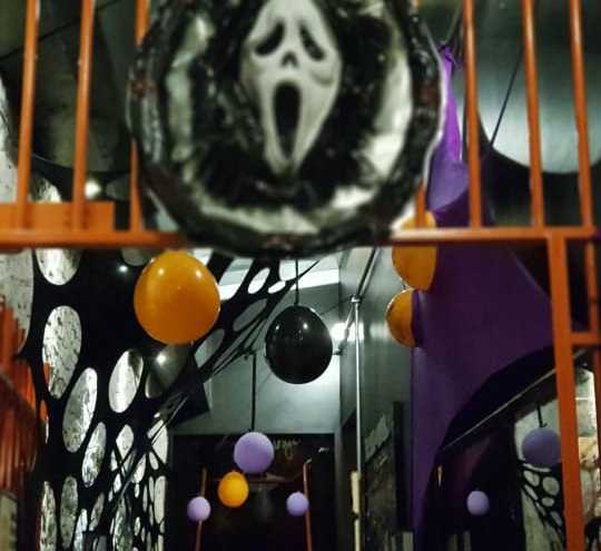 Lua e Leon Festas e Eventos