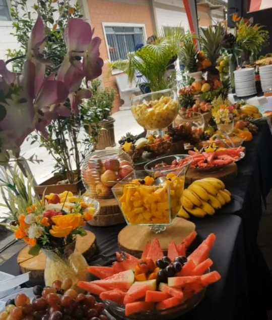 Lua e Leon Festas e Eventos