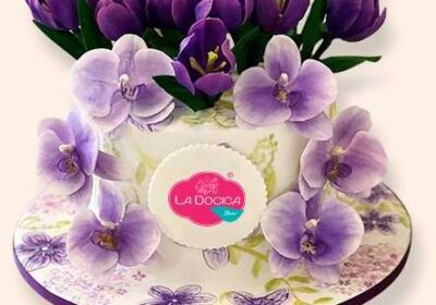 8c817935-40bb-4e2a-8663-5916faf8b193