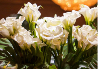 b18fe71b-49a7-4eb3-a707-5d04d20c0166