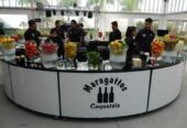 Magarattos Bartenders