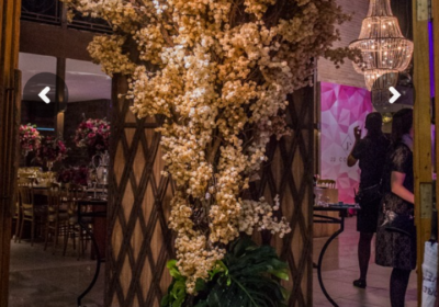 d0ba2690-ecb6-4092-acc9-65aa4121ae20