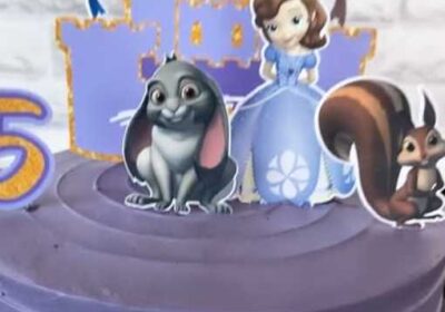 065a9e09-0eb4-4eb5-8771-cfaebd8eeb62